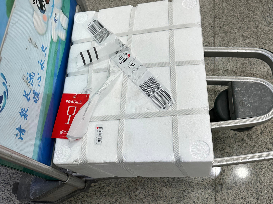 朱家峪村-章丘市必去景点