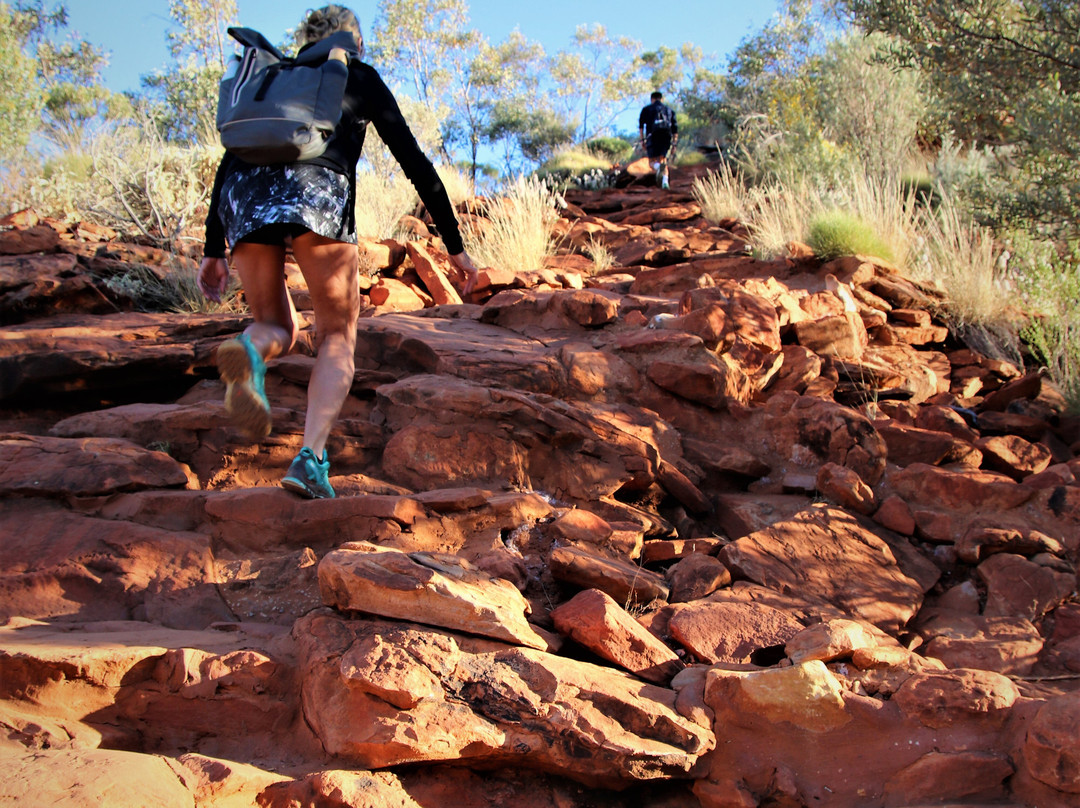 Kings Canyon Rim walk-Petermann必去景点
