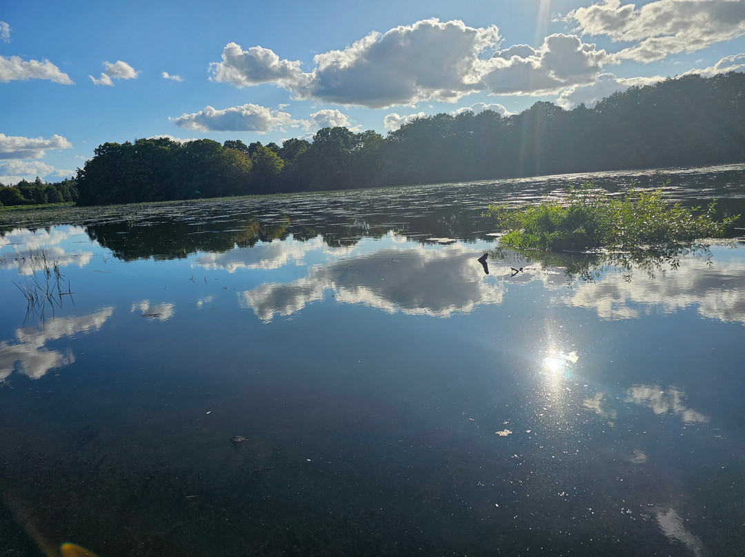 Vestbirk Camping