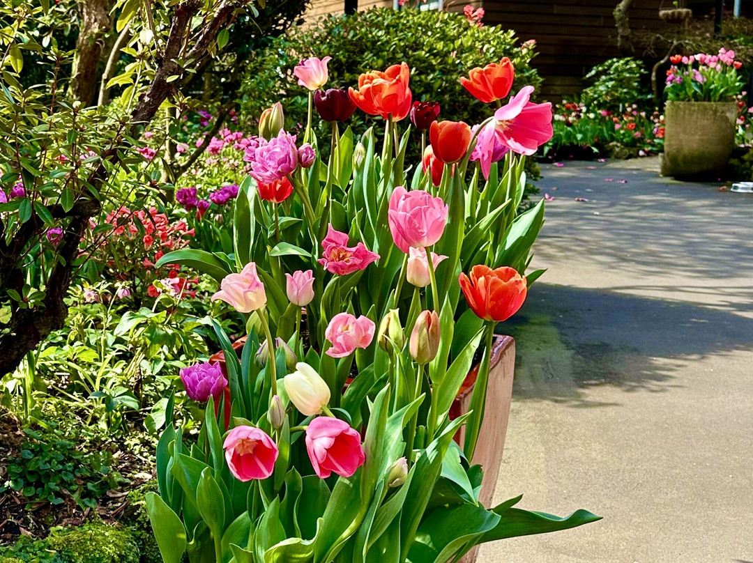 Eden Garden-埃普索姆必去景点