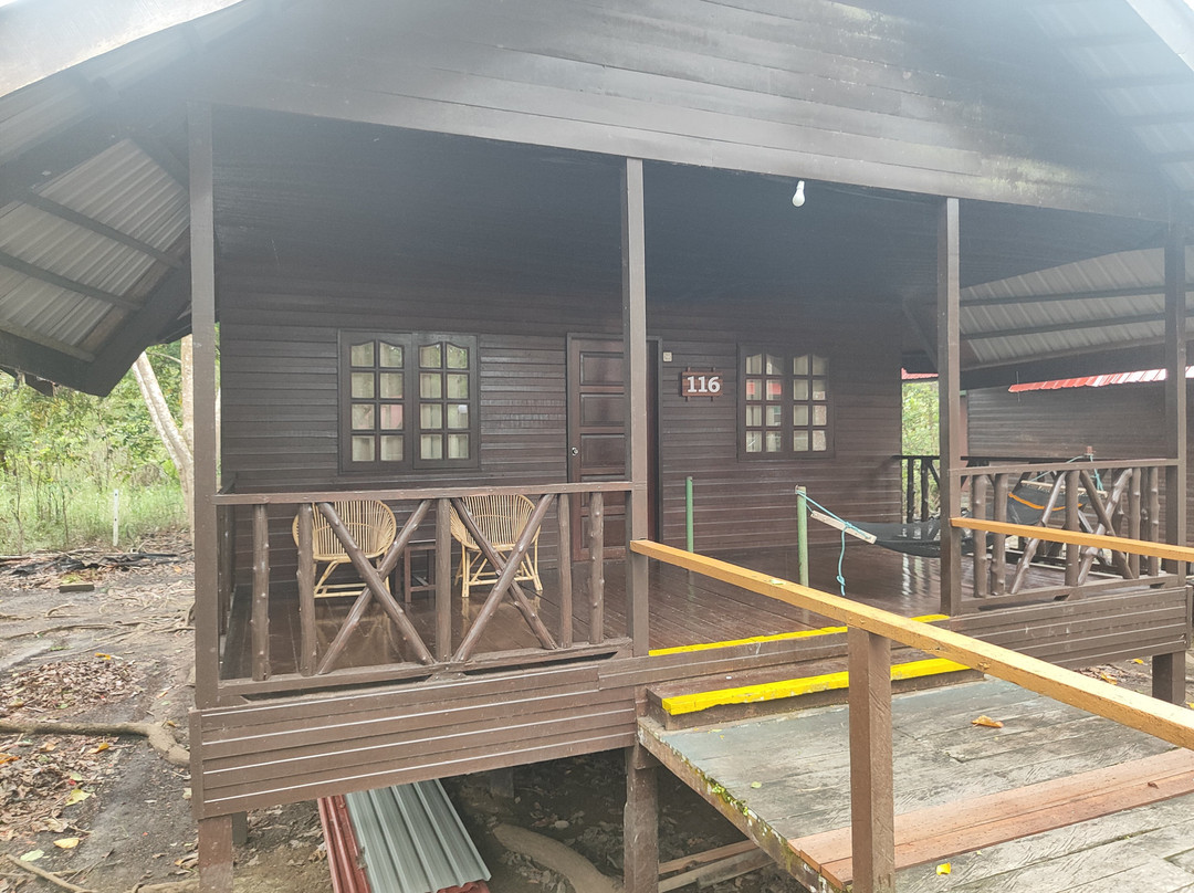 比利特雨林旅舍主图