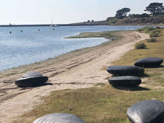 Port Phillip Ferries-墨尔本必去景点