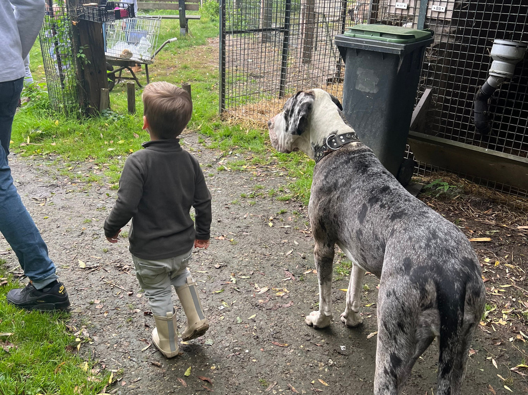 Uilen- en Dierenpark De Paay-Beesd必去景点
