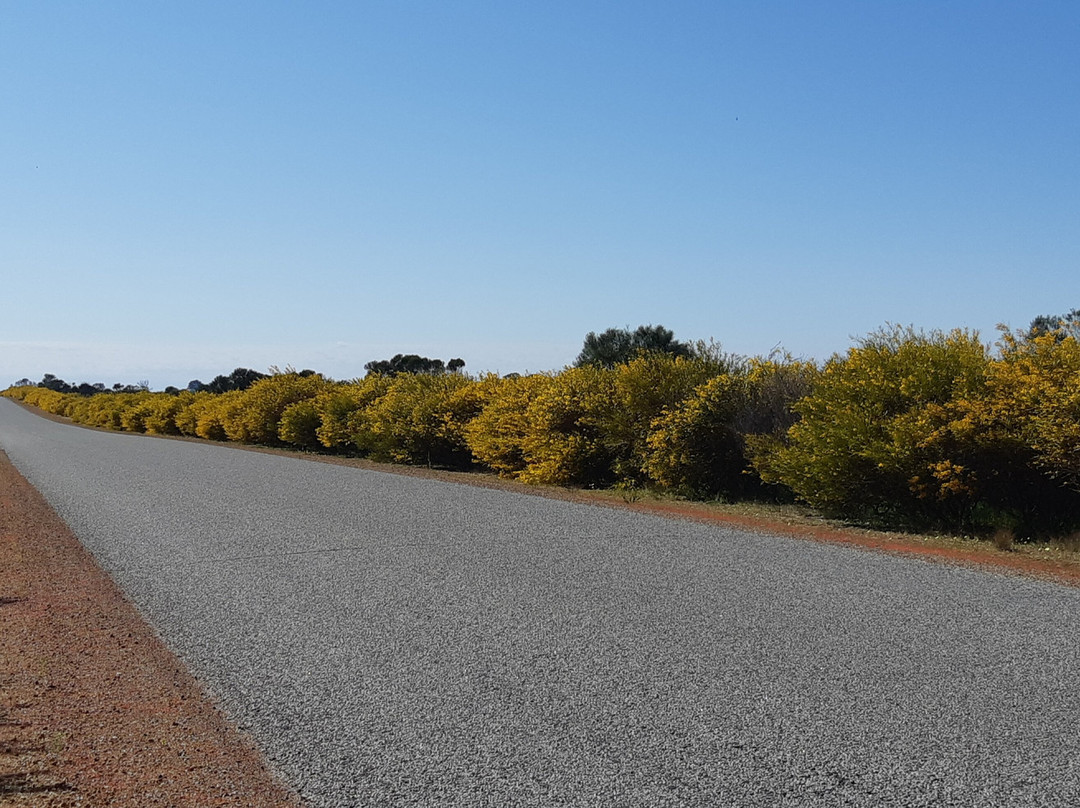 Casey Australia Tours-珀斯必去景点