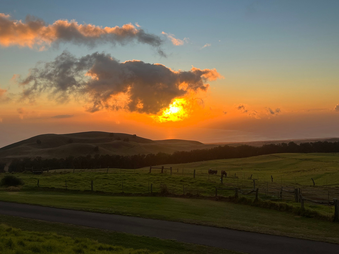 Paniolo Bbq Dinner-卡慕也拉必去景点
