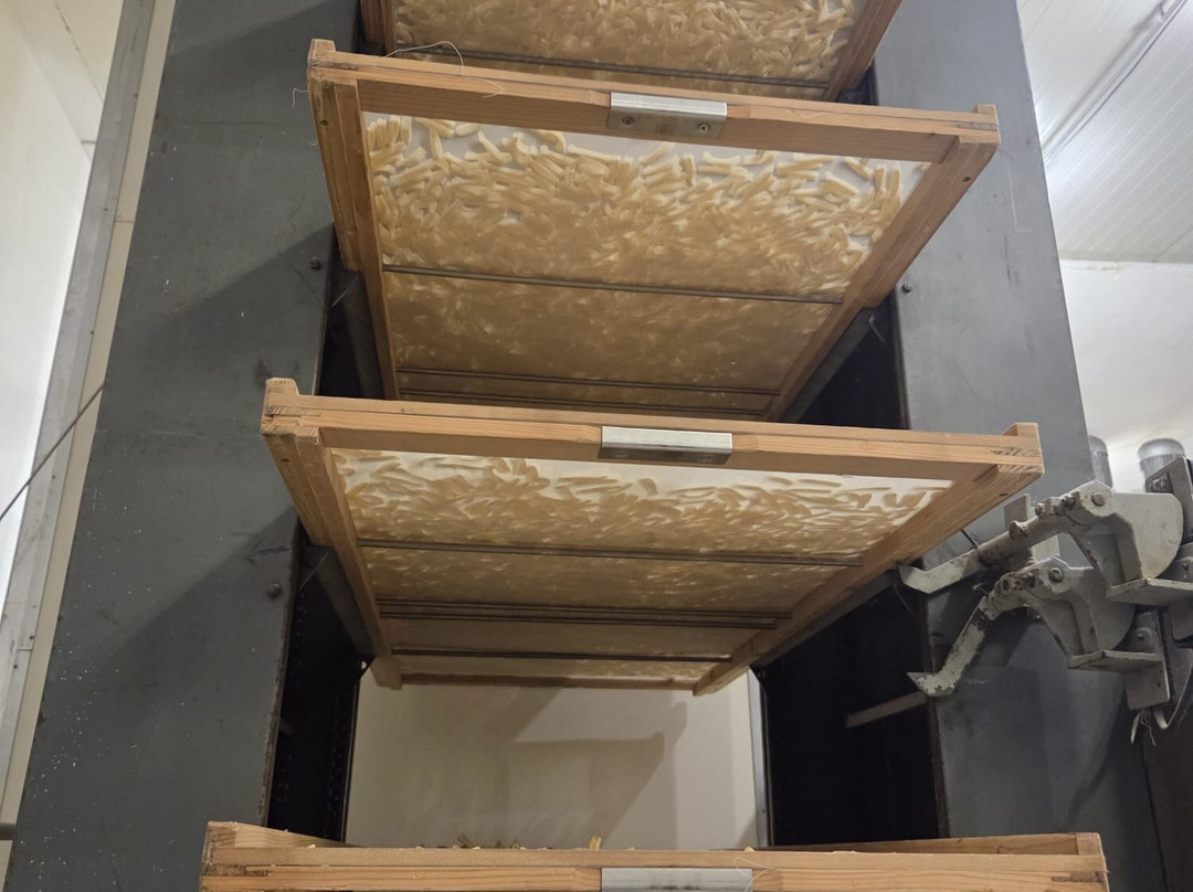 Pastificio Artigiano Fabbri - Il Museo della Pasta-Strada in Chianti必去景点