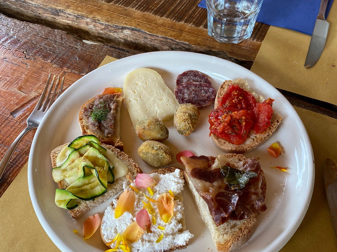 Truffles Hunting in Le Marche-Force必去景点