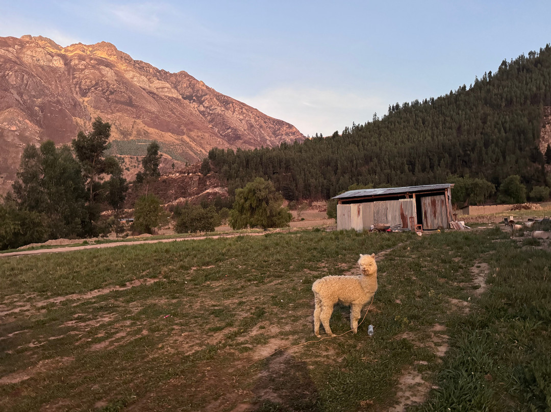 Qempo Experiencia ANDINA-Cusipata必去景点