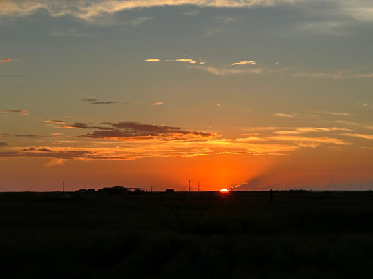 Horses On The Beach: Corpus Christi-科珀斯克里斯蒂市必去景点