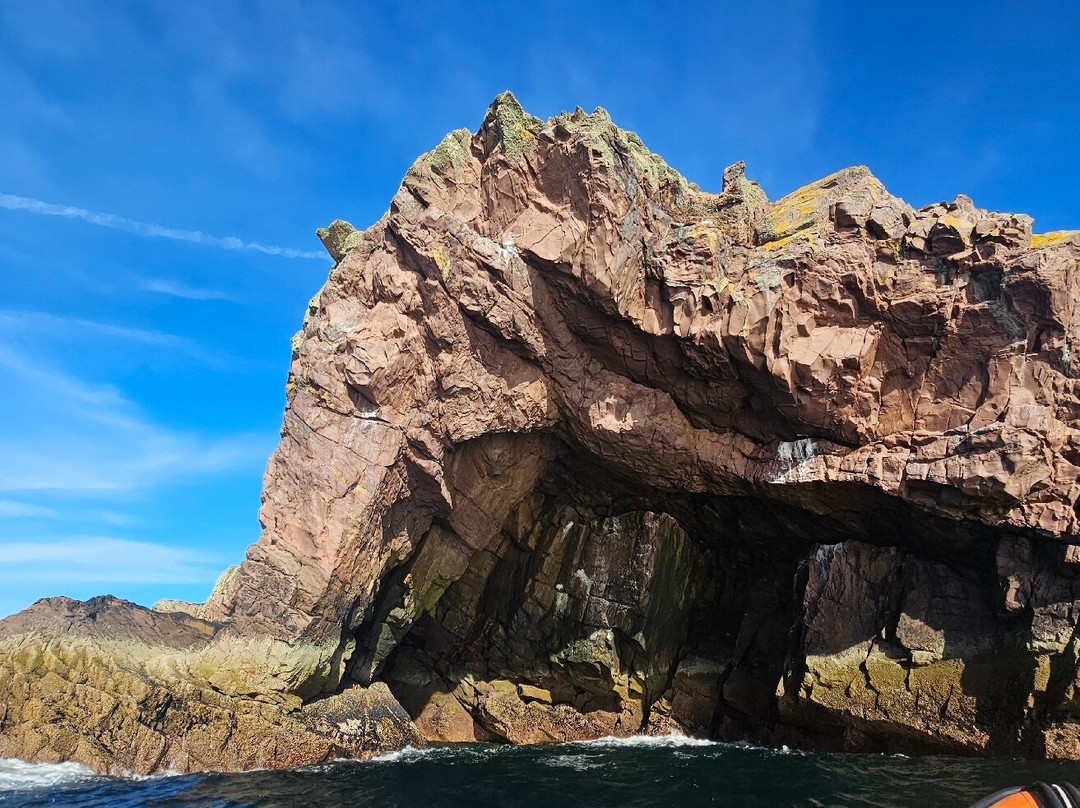 Seascape Expeditions-阿勒浦必去景点