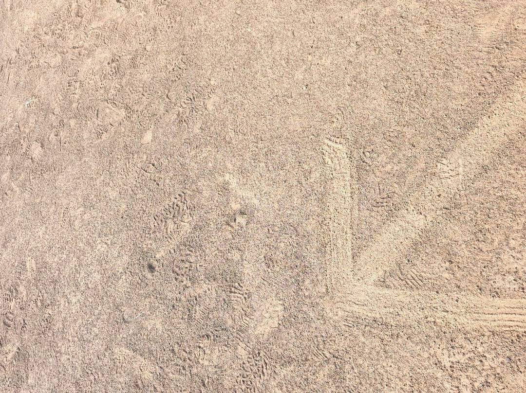 Quivertree Forest and Giant's Playground-Keetmanshoop必去景点