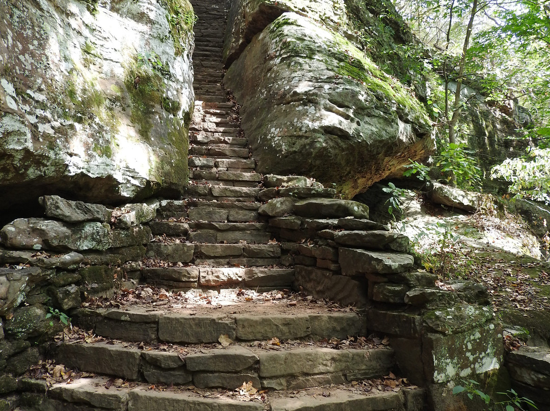 Bell Smith Springs-Ozark必去景点