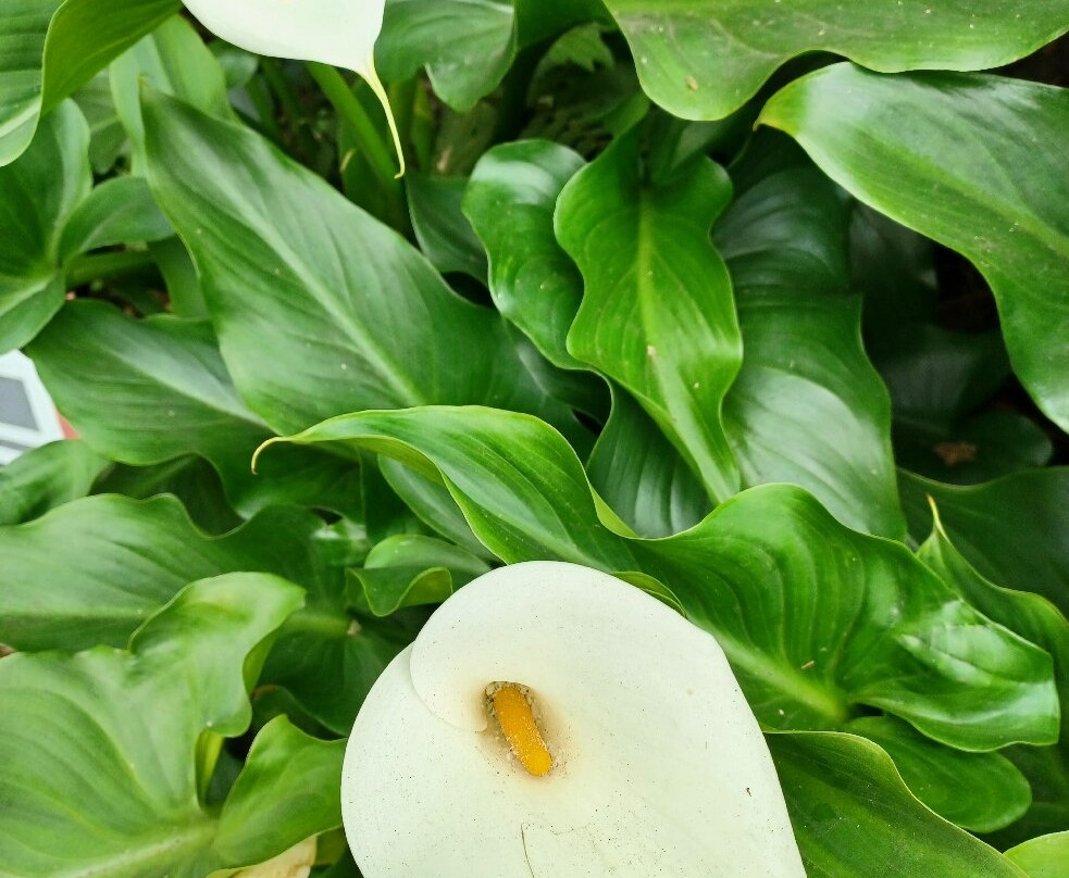 Richards Travel Lodge主图