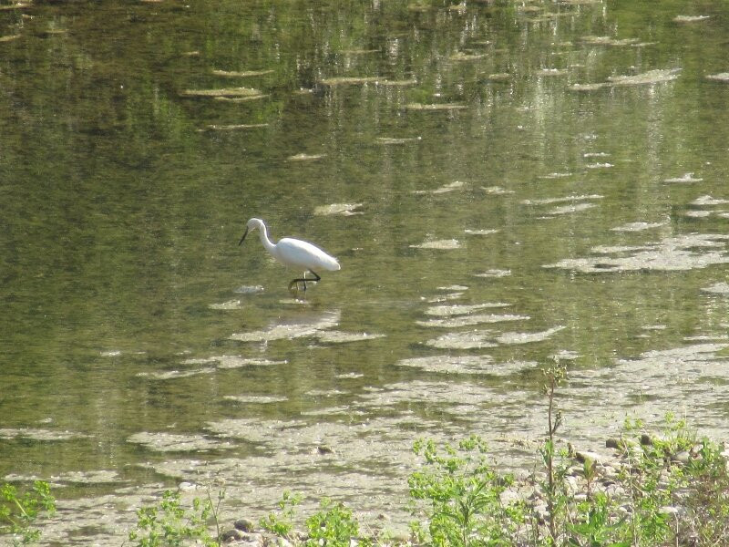 Sentiero del Tidone-皮亚琴察必去景点