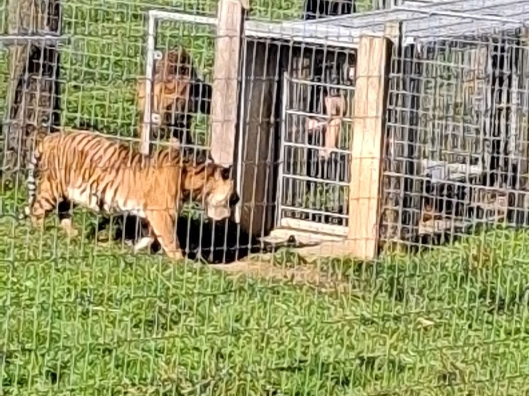 Manor Wildlife Park-St. Florence必去景点