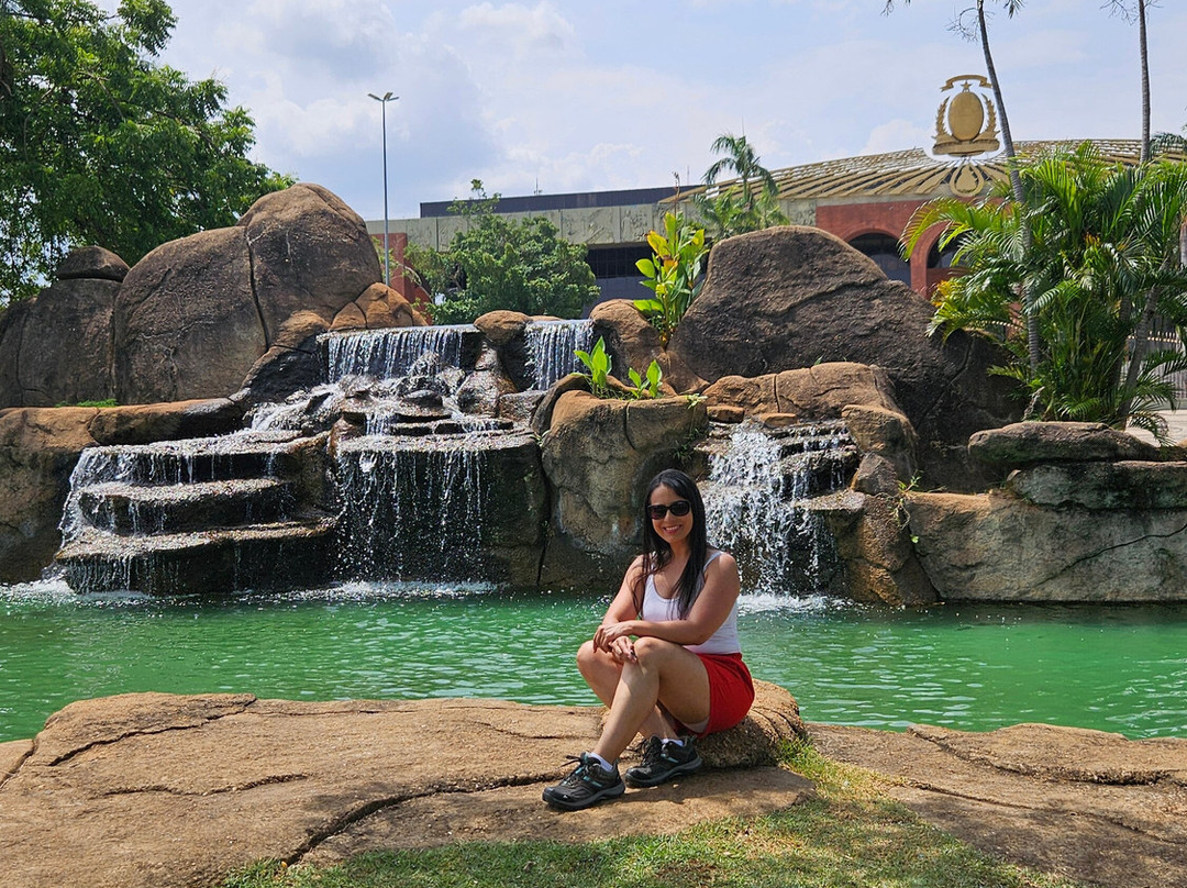 Pousada dos Girassois主图