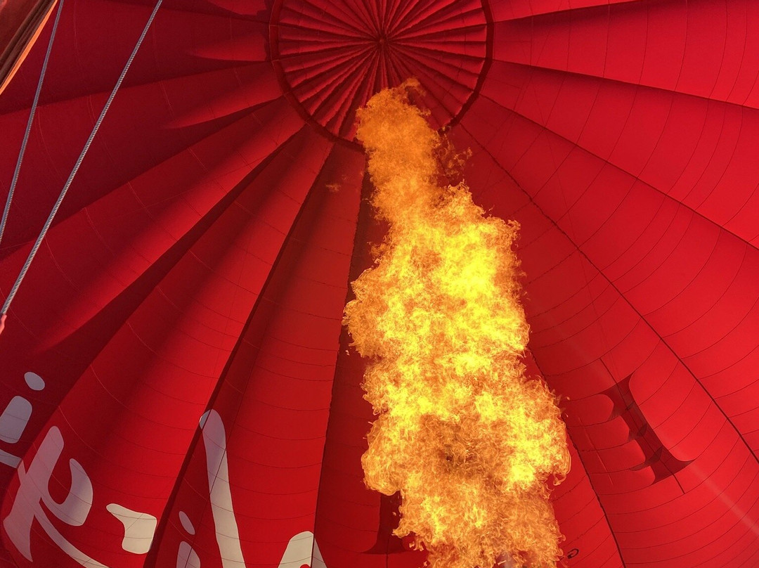 Virgin Balloon Flights - Swindon, Lydiard Park-斯温顿必去景点