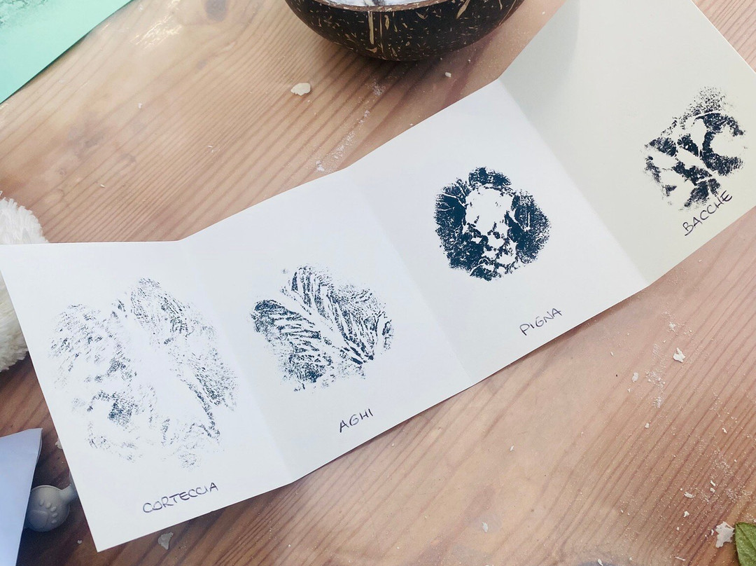 Giardino Botanico Alpino "Rezia"-博尔米奥必去景点