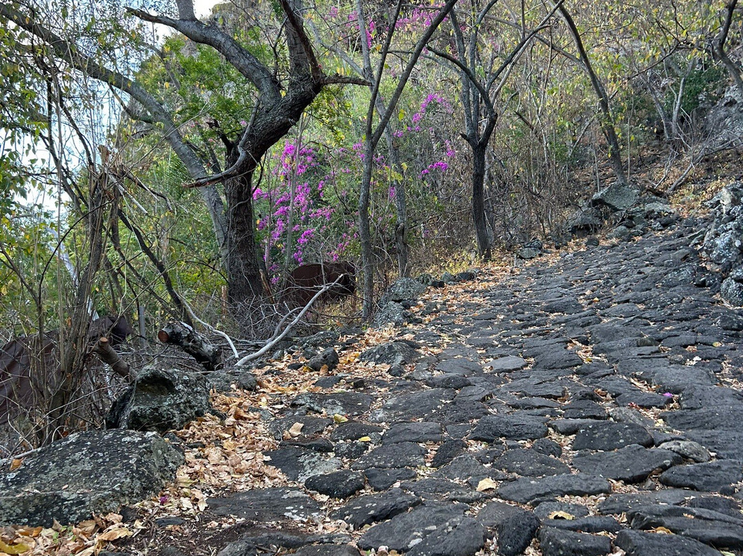 Le Chemin des Anglais-La Possession必去景点