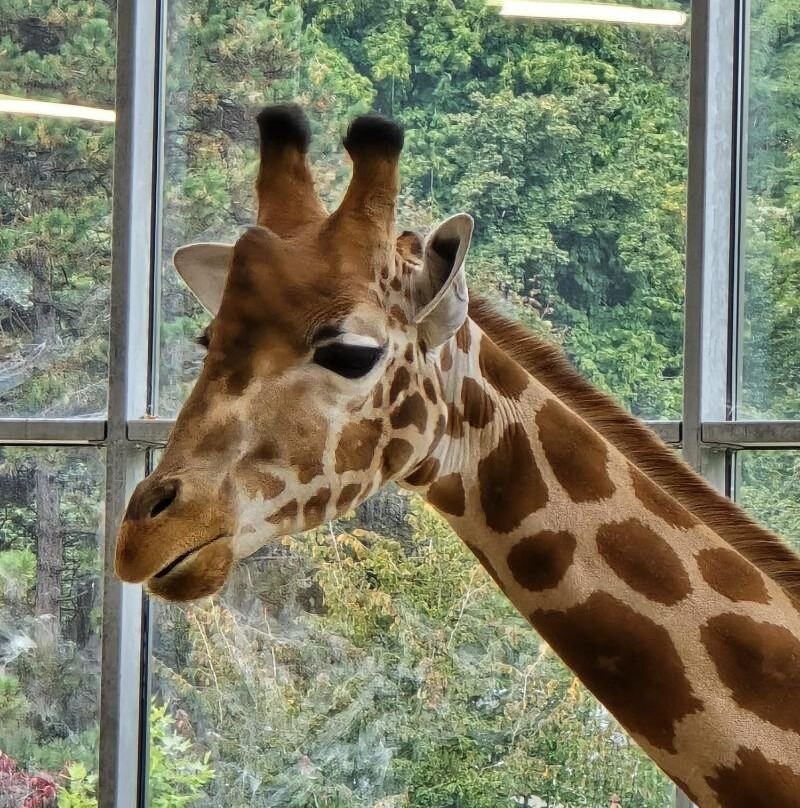 Parc Zoologique & Botanique de Mulhouse-米卢斯必去景点