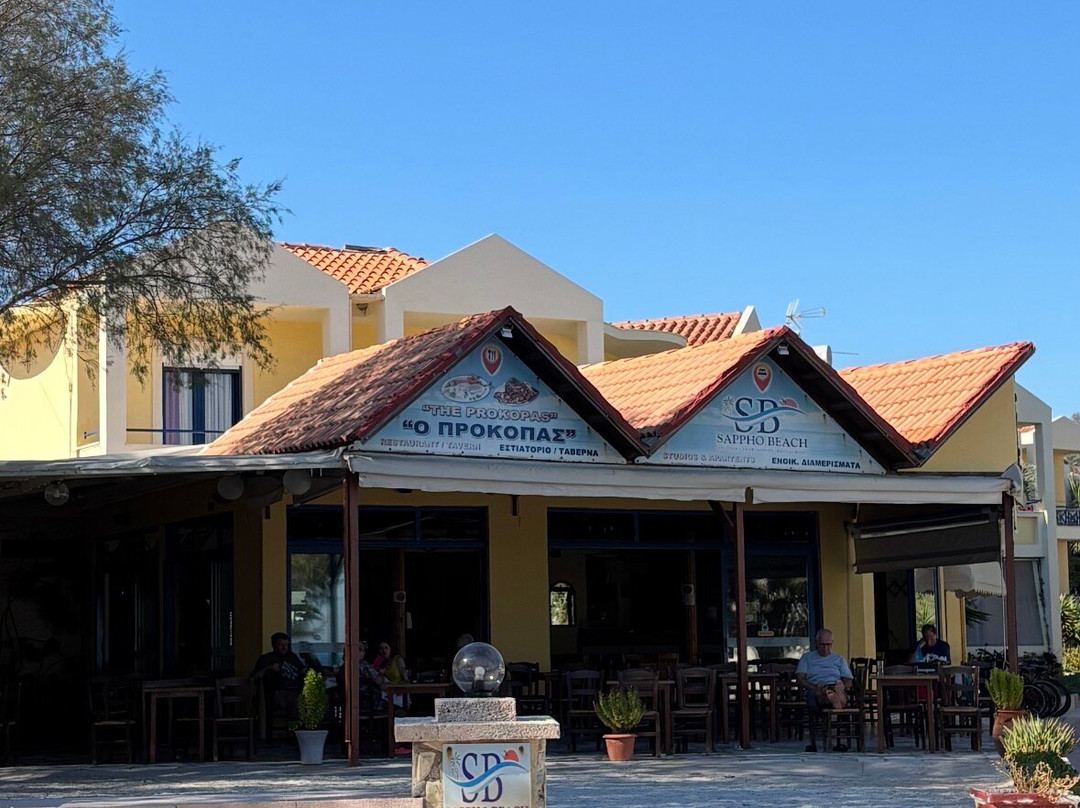 Sappho & Neraida Studios主图