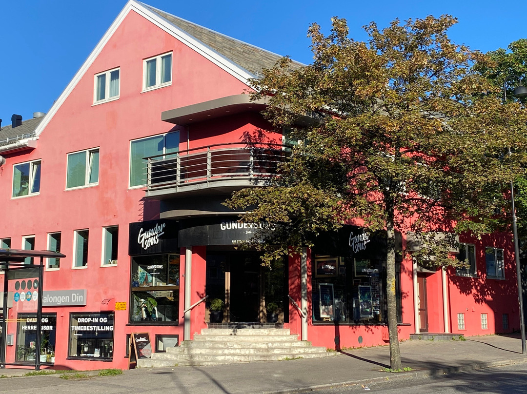 Gundersons Bodø-博多必去景点