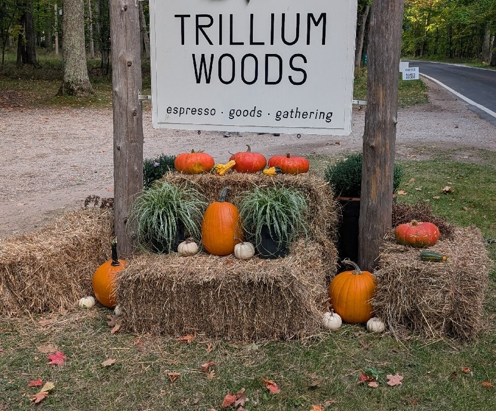 Tunnel of Trees - M119-Harbor Springs必去景点