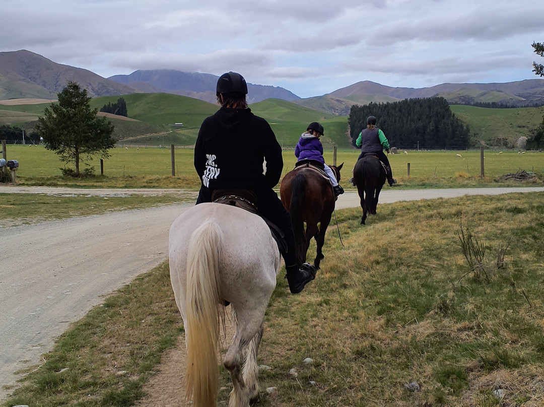 Real Kiwi Horse Trekking-菲尔利必去景点