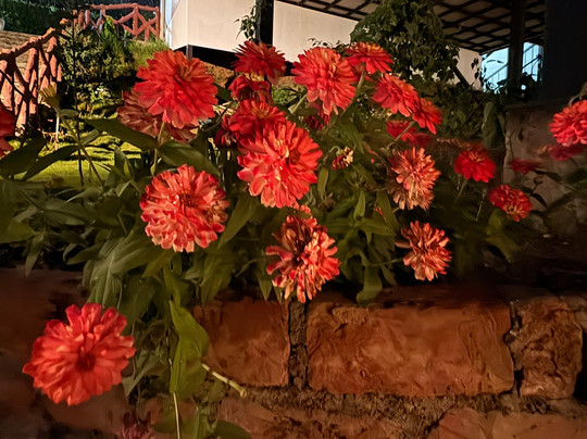 Spellmount - Himalayan View Infinity Pool Resort In Kausani