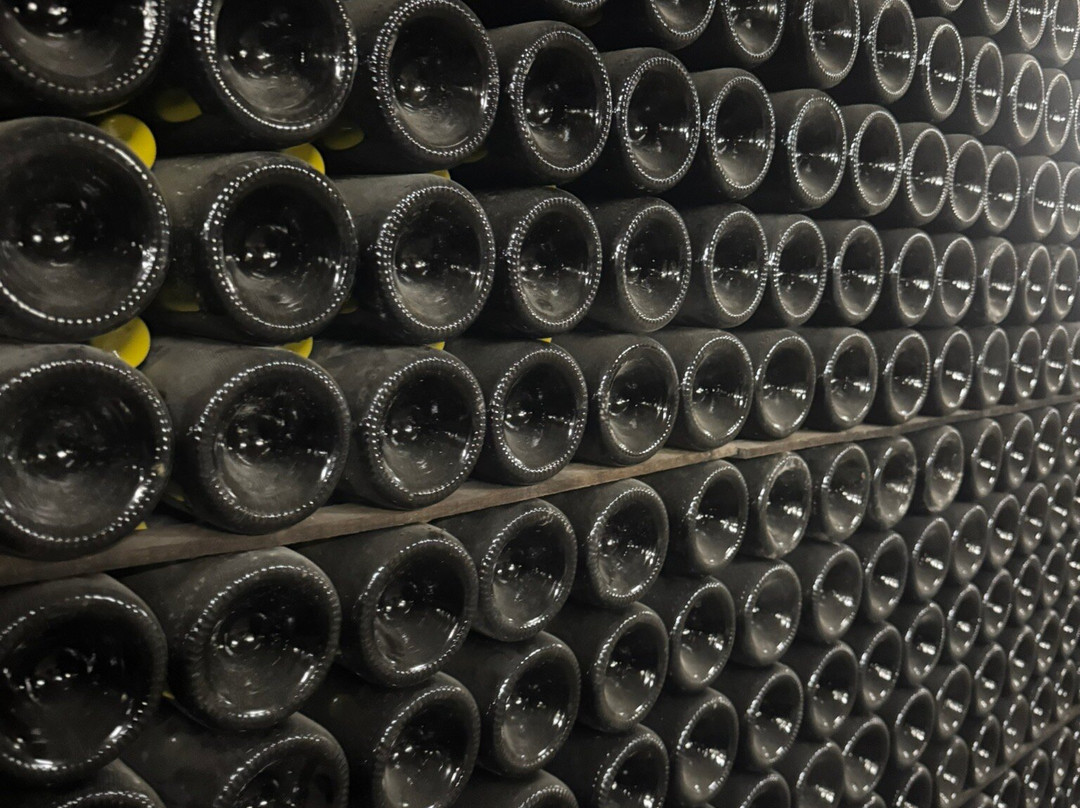 Hambledon Vineyard-Hambledon必去景点