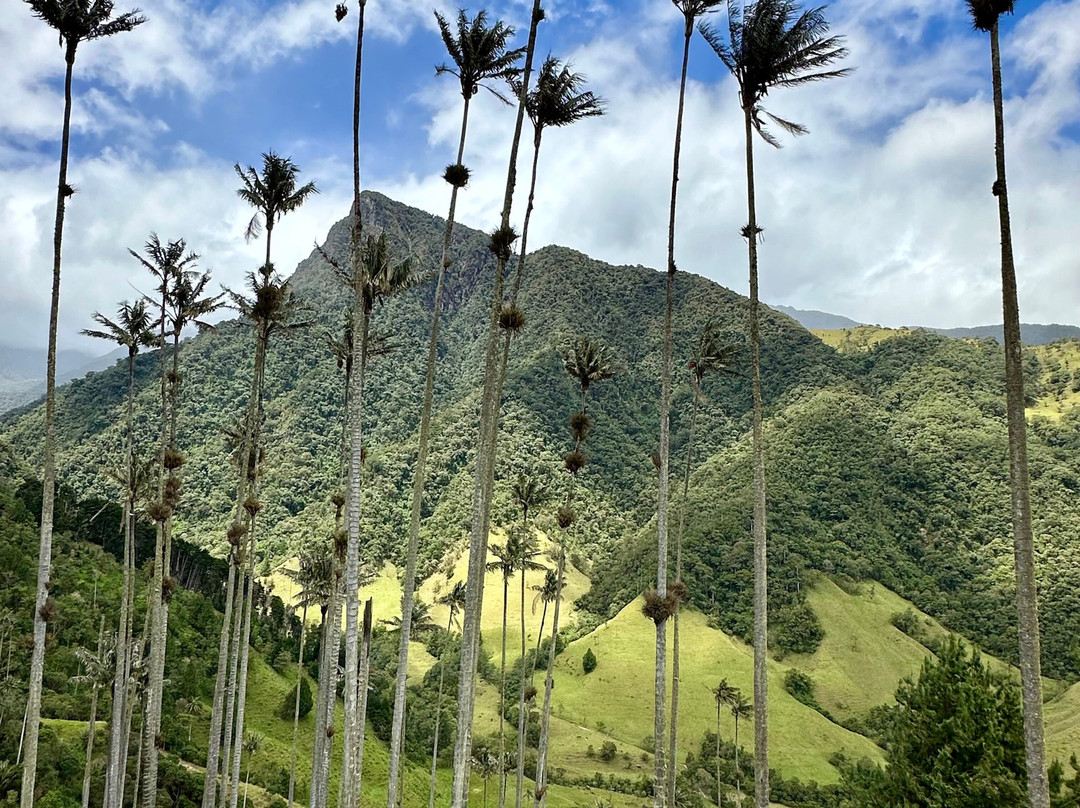 Eco Hotel La Cabana主图