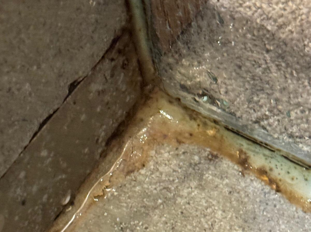 坎波内美利亚酒店主图