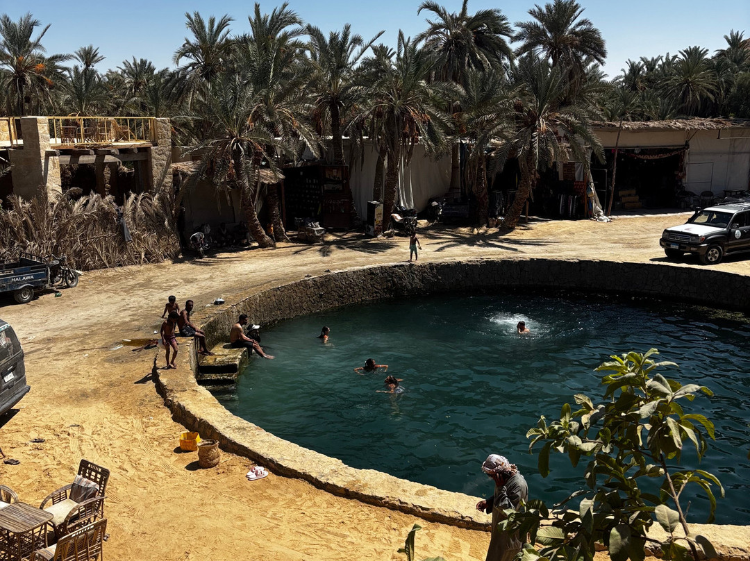 Desert Dreams-卢克索必去景点