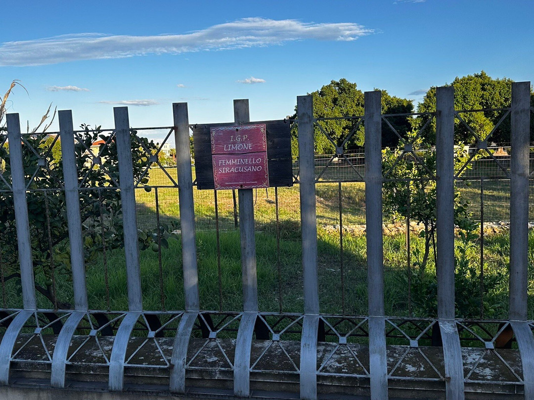 Museo della Mandorla di Avola-Avola必去景点