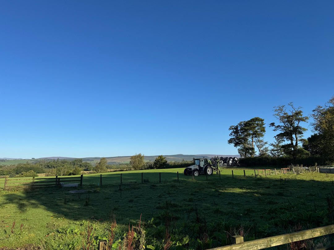 Bessiestown Farm Country Guesthouse主图