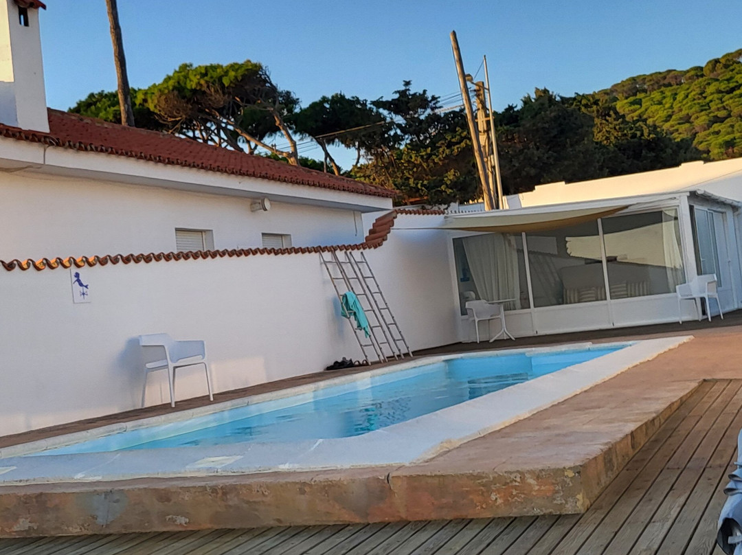 La Sirena del Viento