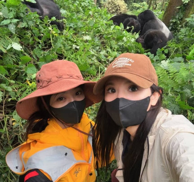 Gorilla specialist-坎帕拉必去景点