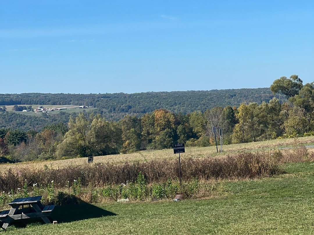 South Hill Cider-Danby必去景点