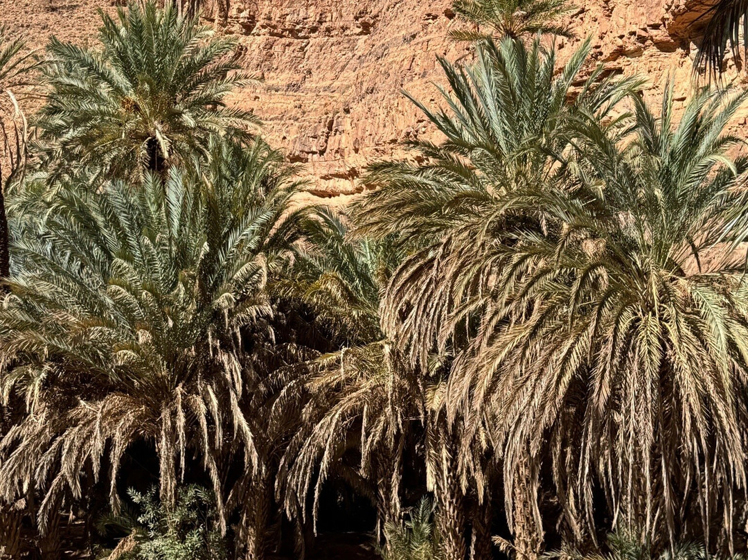 Vallee d'Ait Mansour-Tafraoute必去景点