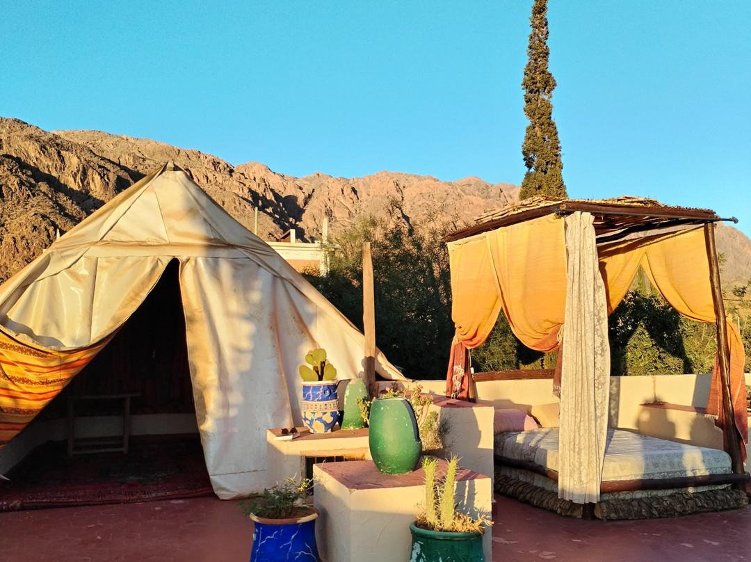 Hotel L'Arganier D'Ammelne主图