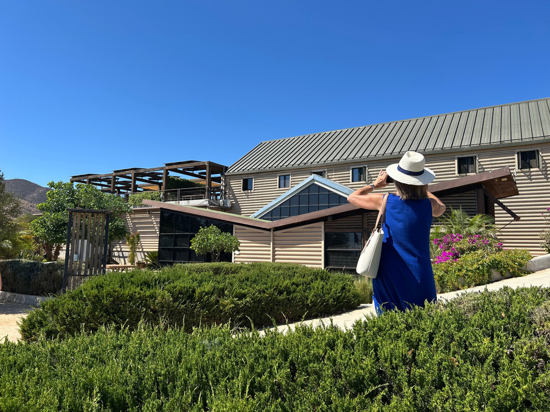 Tours del Valle Emanuel-Ejido El Porvenir必去景点