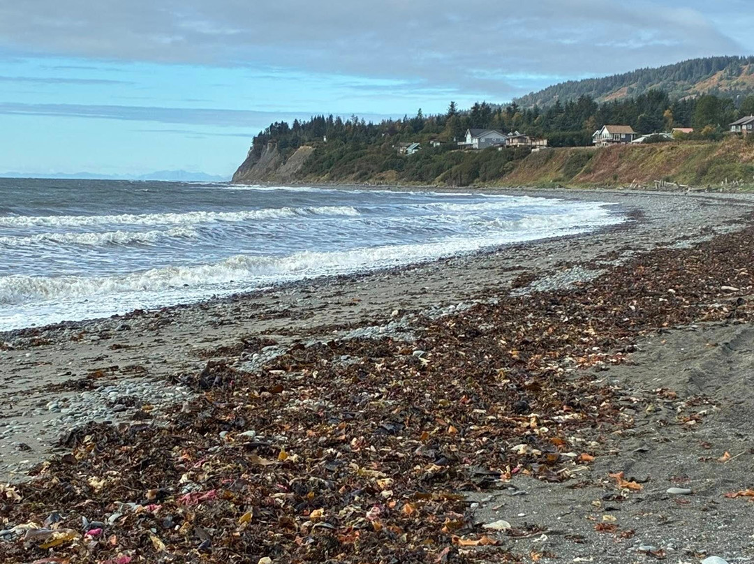 Bishop's Beach Park-荷马必去景点