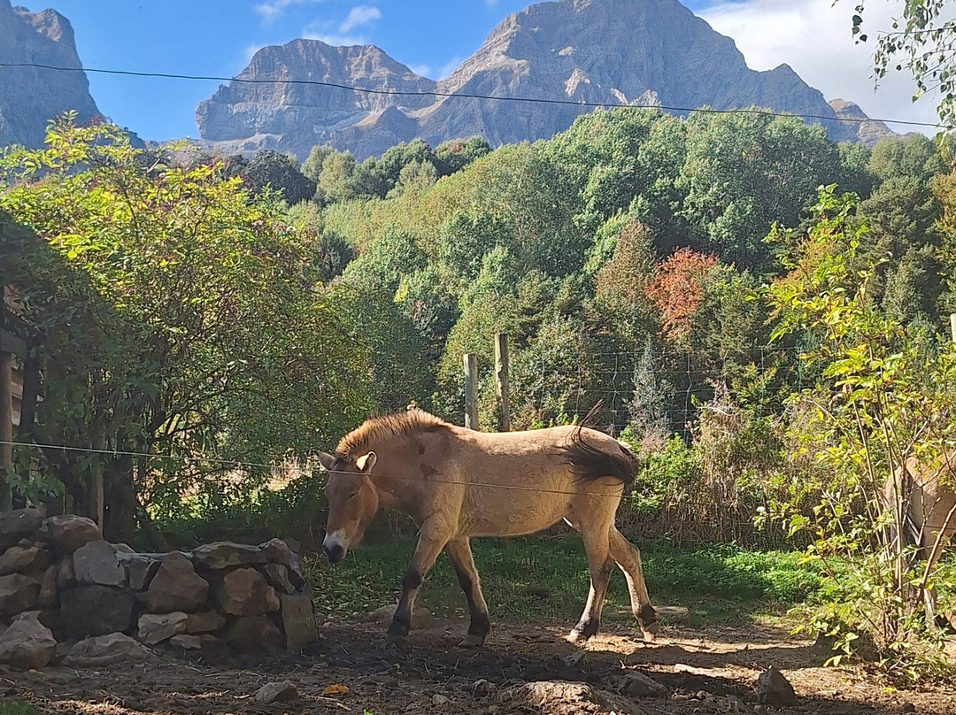 Parque Faunistico - La cuniacha-Biescas必去景点
