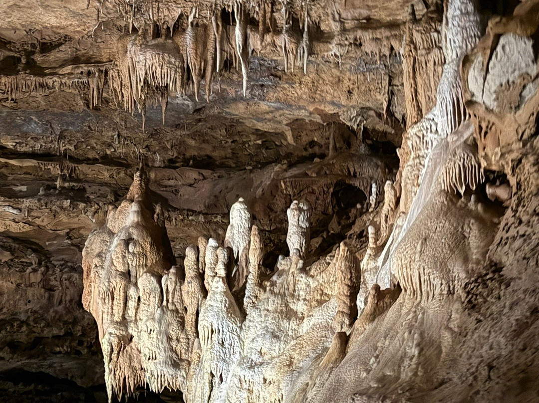 Inner Space Cavern-Georgetown必去景点