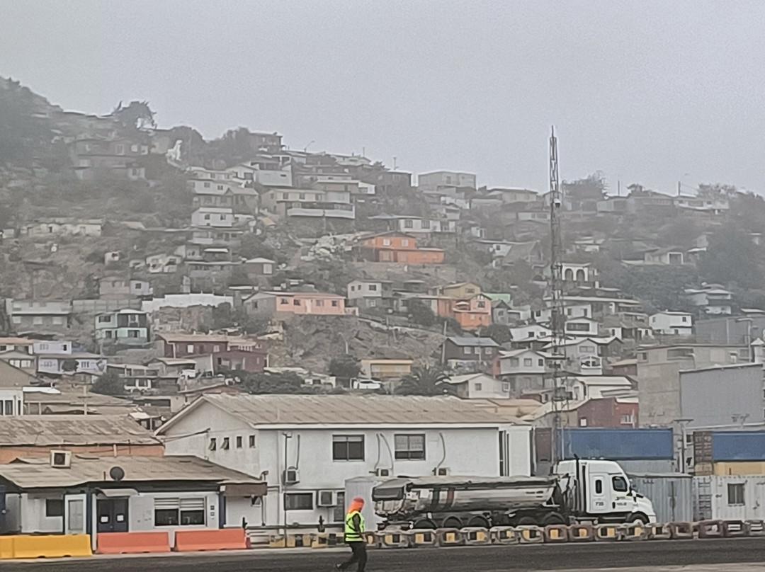 Puerto de Coquimbo-Coquimbo必去景点