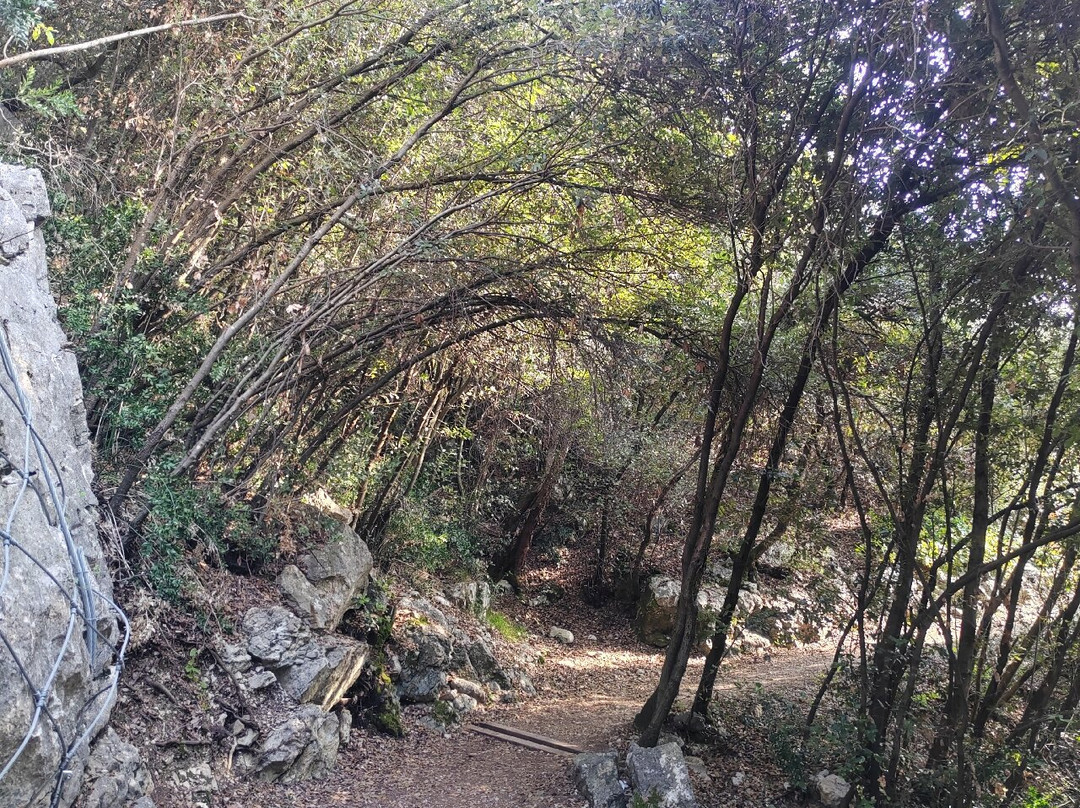 Sentiero panoramico Busatte Tempesta-托尔博莱必去景点