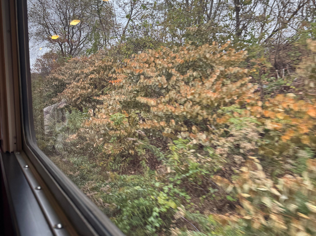 Berkshire Scenic Railway Museum and Train Rides-North Adams必去景点