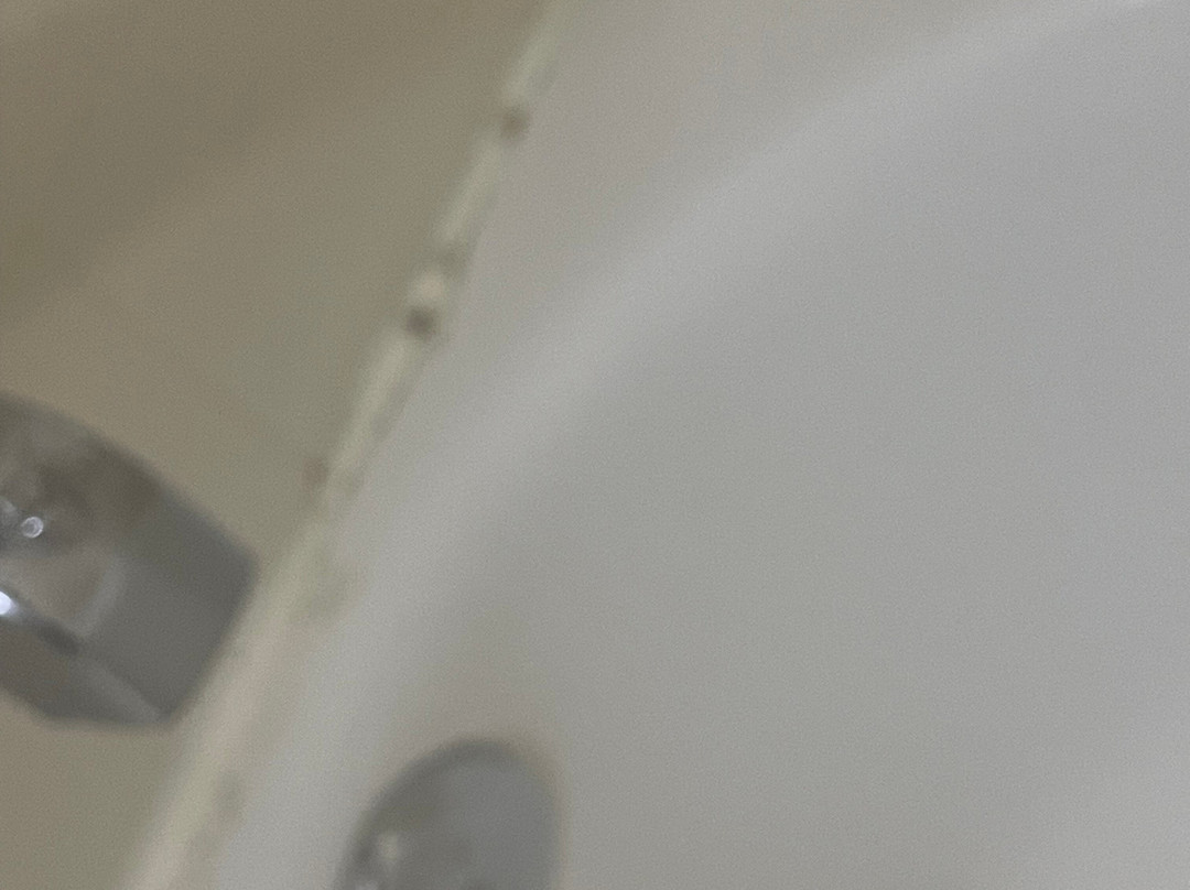 Wingate by Wyndham Charlotte Speedway/Concord主图