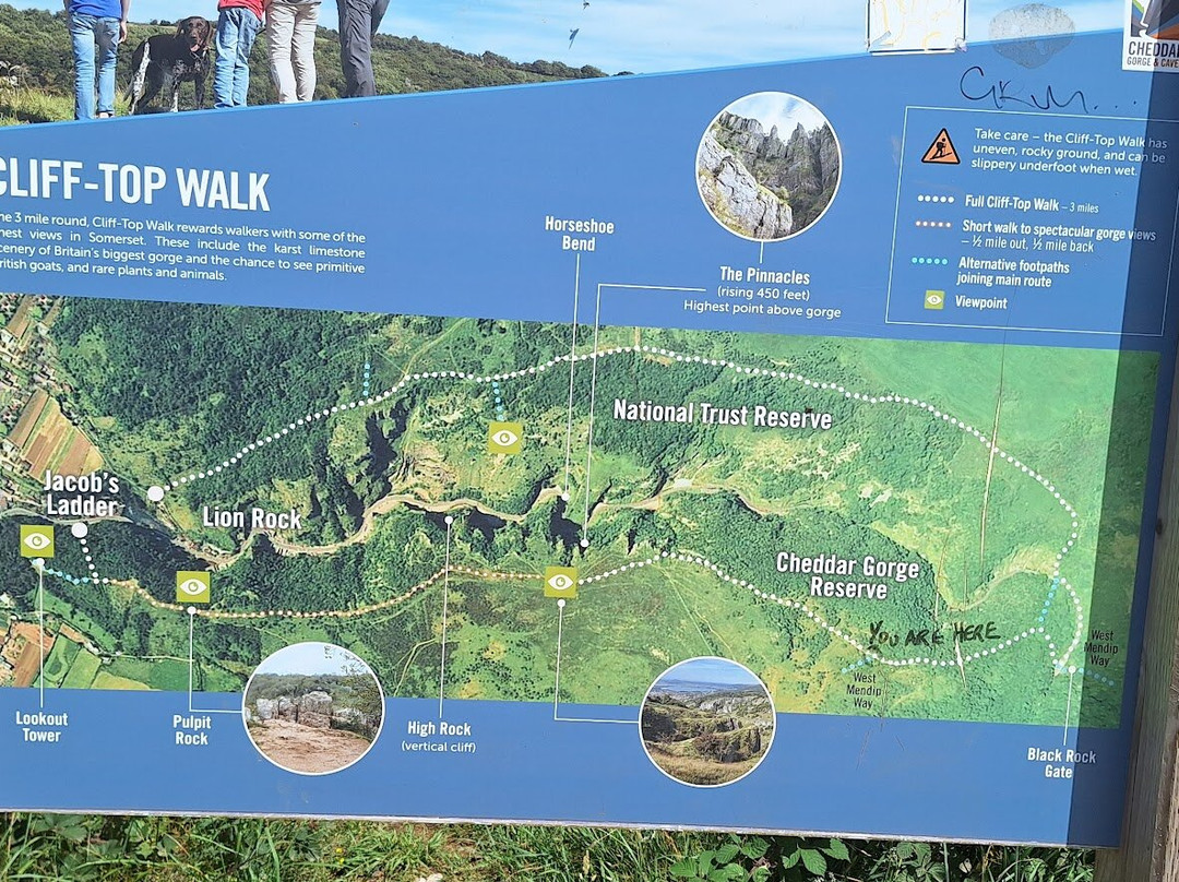 Cheddar Gorge-Cheddar必去景点