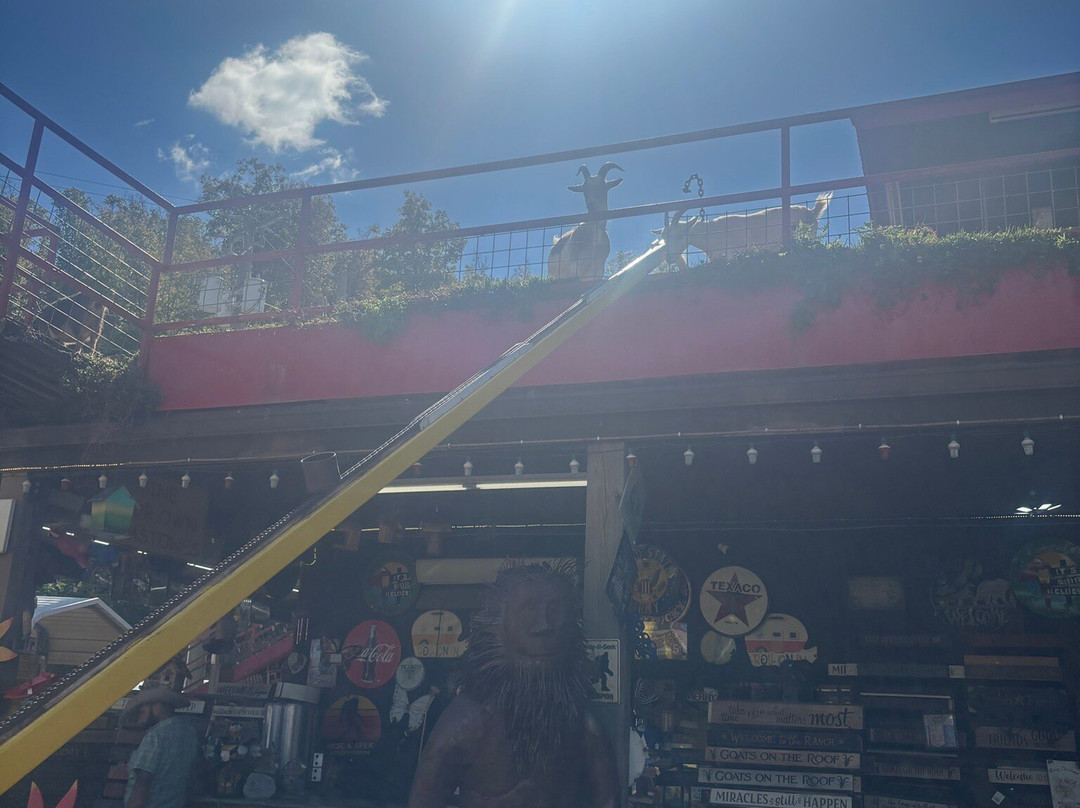 Goats on the Roof-皮金福奇必去景点